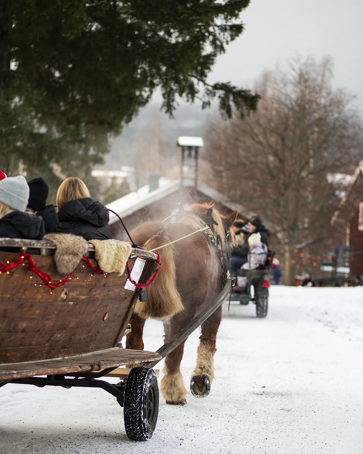 Häst och vagn på Julmarknaden Häst och vagn på Julmarknaden