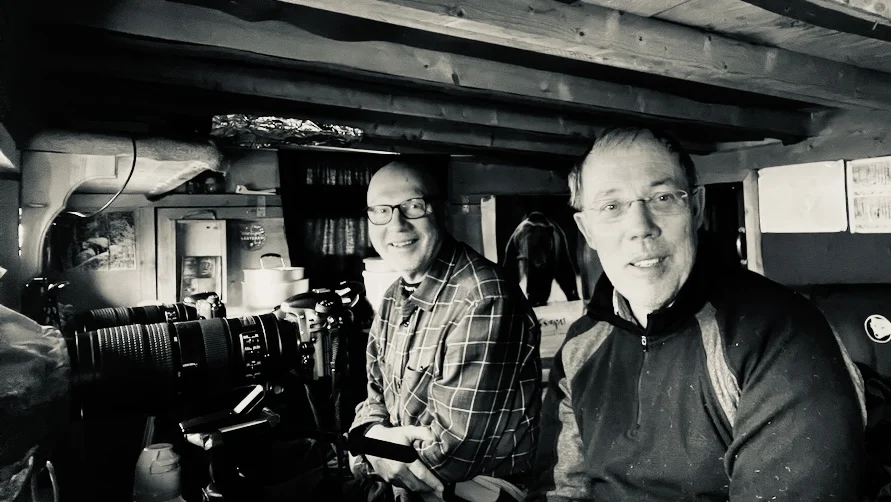 Fotografer vid björnsafari